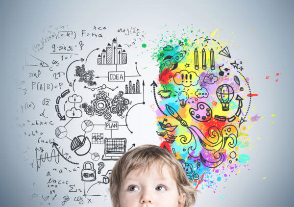 The Process of Neuropsychological Evaluations